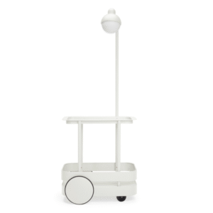 JOLLY TROLLEY bone